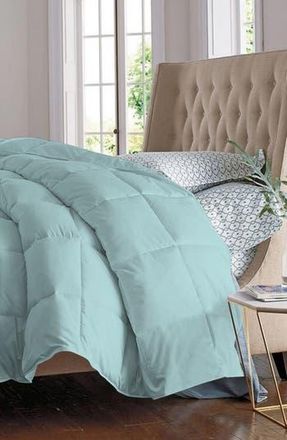 Luxury Home Microfiber Alternative Plush Comforter in Sky Blue at Nordstrom Rack, Size Full