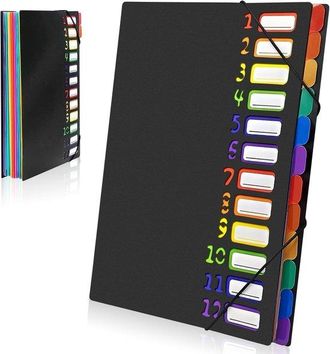 OEM Cartella Portatile Formato A4 A Ventaglio Con 12 Scomparti - Plastica Pp - Cartelle Portaoggetti - Cartelle Con Elastico - Impermeabile - Adatta Per L