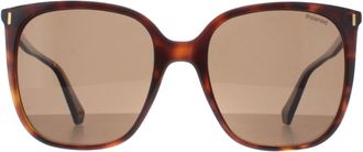 Polaroid Square Dames Havana Brons Gecoat PLD 6218/S