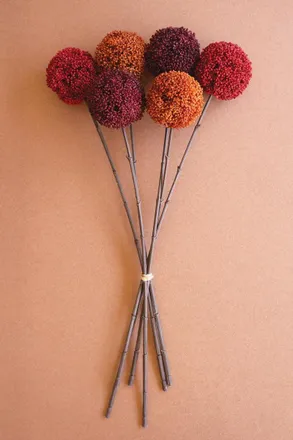 Kalalou Set Of Six Artificial Allium Ball Stems - 2 Each Color