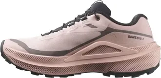 Salomon (WMNS) SALOMON Genesis 2 Gore-Tex Shadow Gray Iron Black 453883