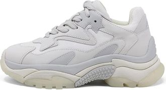 Ash Addict Ladies Sneakers Pearl Grey Suede