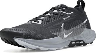 Nike Pegasus Trail 5 GORE-TEX Mens Shoes Black/Wolf Grey/Cool Grey/Anthracite : 12.5 D - Medium, Synthetic