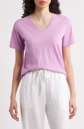 Eileen Fisher Easy V-Neck Organic Cotton T-Shirt in Frlil at Nordstrom Rack, Size Xx-Small