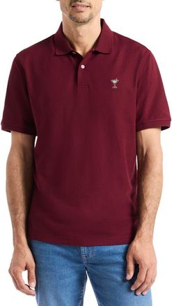 Robert Graham Belvar Knit Polo in Velvet Maroon at Nordstrom Rack, Size X-Large