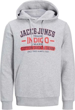 Jack & Jones Jack & Jones, Hoodies, male, Gray, Size: L Hoodie Jjxx Denim Style