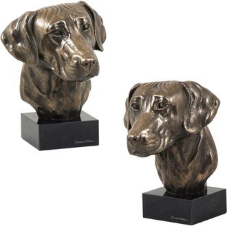OEM Rhodesian Ridgeback, Perro Le&oacute;n Africano: Estatuilla De Perro, Busto Sobre Una Base De Piedra, Escultura, Trofeo Para Una Exposici&oacute;n De Perros De Art-