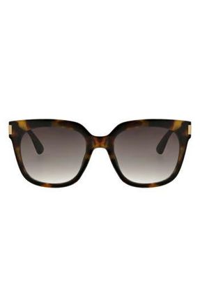 BCBGeneration 54mm Classic Square Sunglasses in Golden Tortoise at Nordstrom Rack