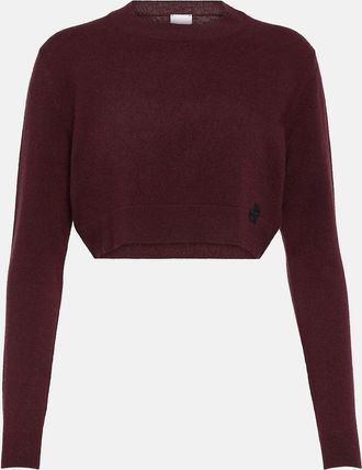 Patou Cropped cashmere wool sweater