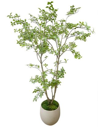 Creative Displays Inc. Handmade Faux Bonsai Tree In Fiberstone Planter