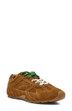 Steve Madden Aziel Sneaker in Camel Suede at Nordstrom, Size 6.5