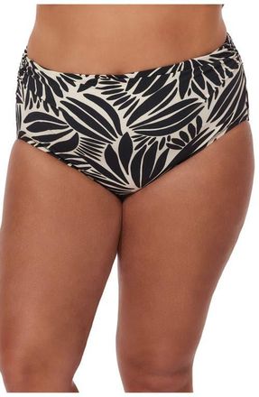 Gottex Comeback Plus Size Shirred High Waist Swim Bottom in Black-White at Nordstrom, Size 20