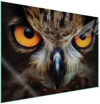 OEM Placa Protectora De Vidrio Para Estufa 70x52 B&uacute;ho