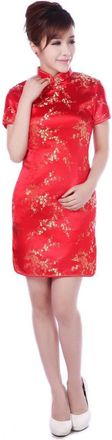 ACVIP JTC Plum Blosson Pattern Brocade Chinese Mini Dress Womens Qipao Cheongsam (UK 10-12/Label Size XL, Red)