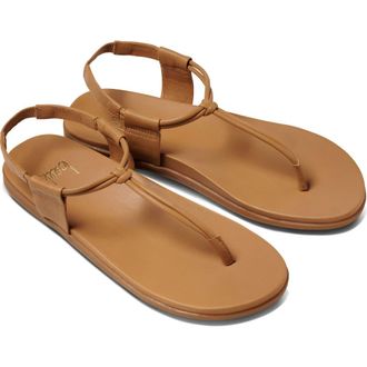 beek Mango Leather Sandal in Honey at Nordstrom, Size 12