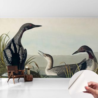 Tulup Fotomurale Adesivo - Parete Decorativa - Decorazione Casa - Stile Moderno Parete - Uccelli Sullacqua 416x254 Cm