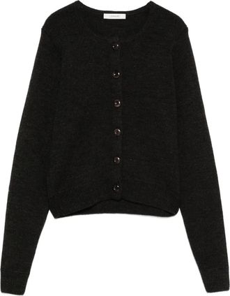 Christophe Lemaire Cardigan con bottoni - Marrone