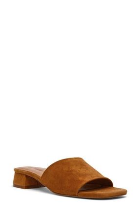 Steve Madden Montgomery Block Heel Sandal in Chestnut Suede at Nordstrom, Size 8.5