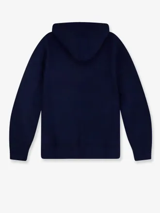 Polo Ralph Lauren Mens Hooded Sweatshirt Blue Cotton Sweatshirts Sweater
