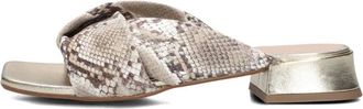 Stefano Lauran Schoenen, Dames, Geel, 39 EU, Leer, Chique Siena Slippers met Slangenprint