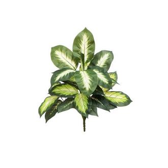 Nearly Natural 20-in Artificial Golden Dieffenbachia Plant - Set of 6 in Green at Nordstrom
