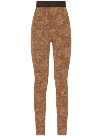 Dolce & Gabbana logo-waistband lace leggings - women - Elastane/Silk/Elastane/Nylon - 50 - Brown