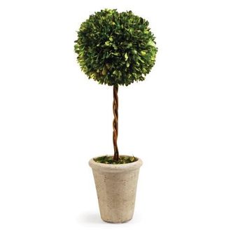 Napa Home & Garden Boxwood Single Faux (Fake) Sphere Topiary 23.25 in Green at Nordstrom