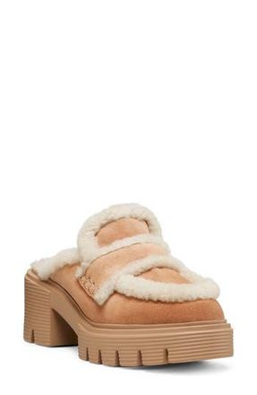 Stuart Weitzman Lennox Genuine Shearling Trim Platform Loafer in New Camel/Natural/Caramel at Nordstrom Rack, Size 7