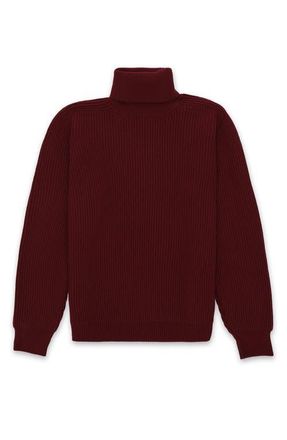 Fortela Brighton High Neck Jumper in Burgundy at Nordstrom, Size X-Large Eu