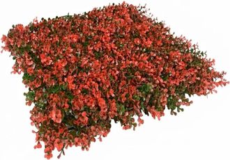 No Brand Pack 4 Jardin Vertical Natus 50x50 Cm Planta Artificial Decoraci&atilde;&sup3;n Pared Interior Exterior Jardines Verticales
