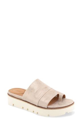 Gentle Souls Laverne Toe Loop Platform Sandal in Gravel Leather at Nordstrom, Size 6.5
