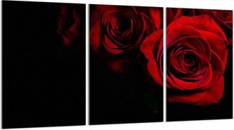 OEM Placa Protectora De Vidrio Para Estufa 3x30x52