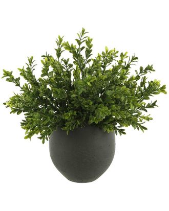 Creative Displays Inc. Outdoor Uv-Rated Boxwood Arranged In Pot