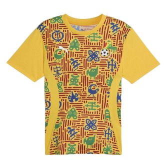 Puma Herenvoetbalshirt Ghana (voor de wedstrijd) (Geel)