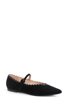 Patricia Green Sutton Scallop Pointed Toe Mary Jane Flat in Black at Nordstrom, Size 10