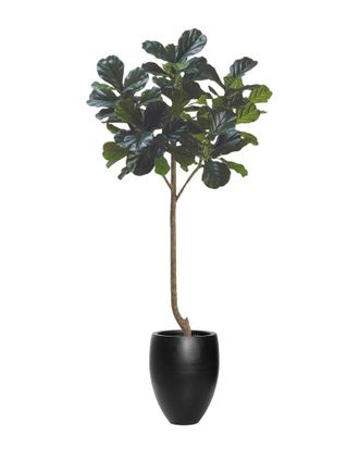 Creative Displays Inc. 7Ft Fiddle Leaf Tree With Fiberstone Planter