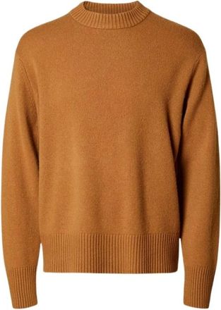 Selected Truien & Vesten, Heren, Oranje, L, Ronde hals gebreid
