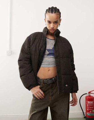 Dickies Frenchtown - Piumino marrone-Nero