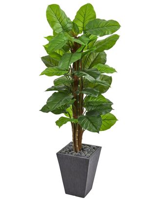 Nearly Natural 5Ft Large Leaf Philodendron Artificial Plant In Planter (Real Touch)
