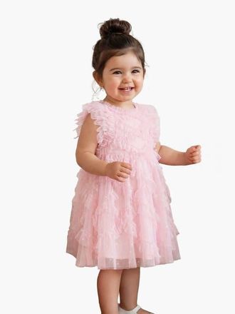 Needle & Thread Genevieve Embroidered Ruffle Baby Dress in Peony Pink at Nordstrom, Size 18-24M