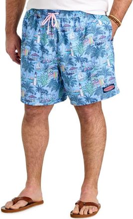 Vineyard Vines Big & Tall Scenic Chappy Swim Trunks in Keys Toucan at Nordstrom, Size 4X Big