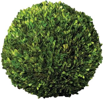 Napa Home & Garden Preserved Boxwood Ball, 16-inch