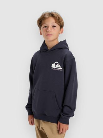 Quiksilver Omni Logo Kids Hoodie grijs