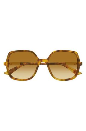 Chlo&eacute; 55mm Gradient Geometric Sunglasses in Havana at Nordstrom