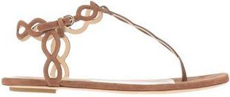 Sergio Rossi FOOTWEAR - Thong sandals on YOOX.COM