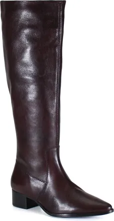 Diba DIG ITAL Leather Sleek Tall Boot in Deep Cherry at Nordstrom, Size 6.5