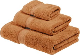 Superior Contemporary Modern Plush and Absorbent Traditional Casual Egyptian Cotton Assorted 3-Piece Towel Set