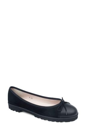Paul Mayer Attitudes Bravo Lug Sole Ballet Flat in Black Suede at Nordstrom, Size 7.5