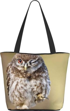 AOOEDM Cute Owl (2) Ladies Shopping Bag 13x11x7in.The Perfect ValentineS Day Gift.It Is The Best ValentineS Day Gift For Mom, Daughter, Wife,Etc