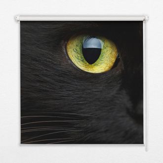 Tulup Tenda A Rullo Interna Per Finestra - Tenda Filtrante Luce - Tenda Privacy - Tenda Decorativa Rettangolare - Rullo Per Interni - (130 Cm X 140 Cm) - Oc